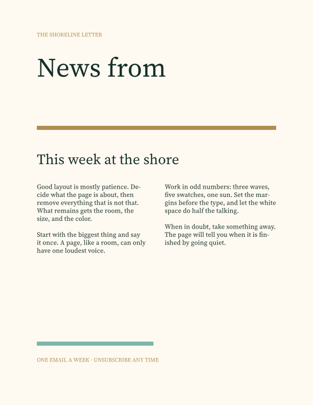 Beach Newsletter: The Shoreline Letter, News from the beach